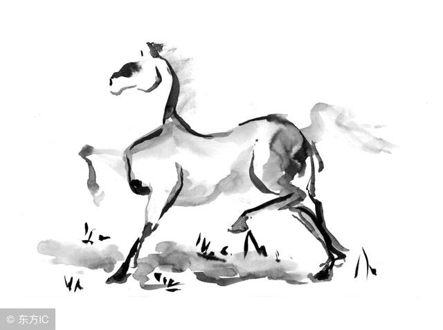 属马的明后两天运气，生肖马今日财运运势