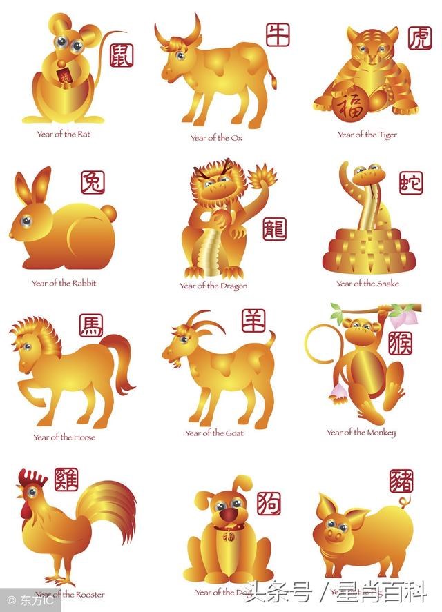 十二属相配对吉凶表，12生肖配对姻缘