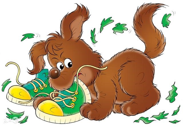 2属狗人的财运旺年龄，1982年生肖狗运程"