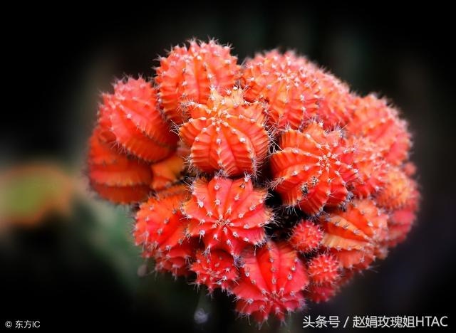 属狗的旺财招财摆件，属狗的戴什么玉吊坠好