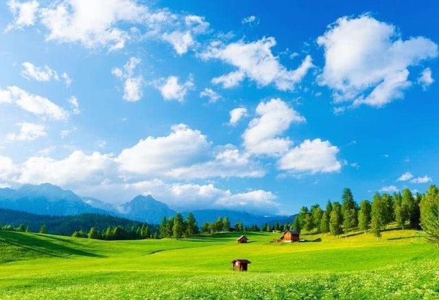 今年财运旺的生肖，财运旺三年三大生肖