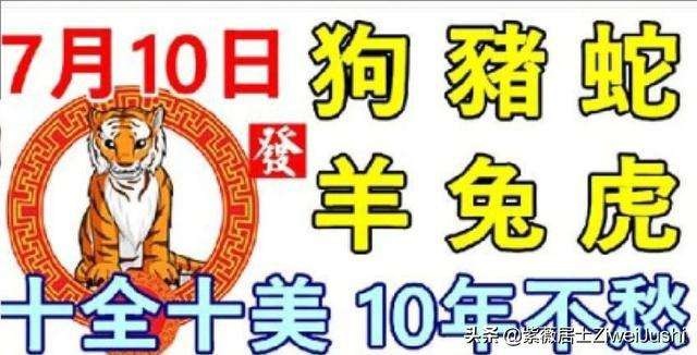 次吉生肖是什么意思,今日特吉生肖次吉生肖