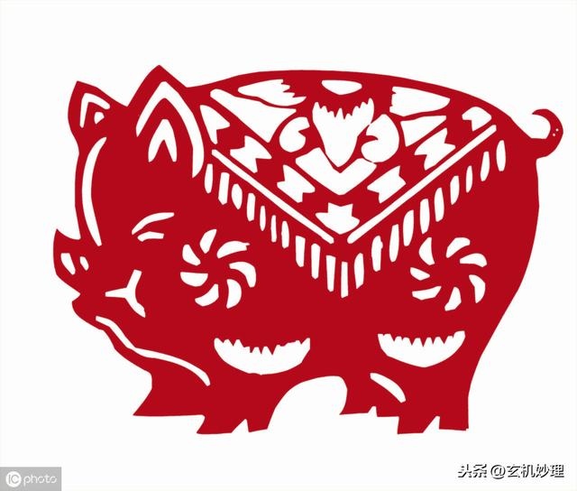 属虎人明天运气怎么样啊，62年属虎今日财运怎样