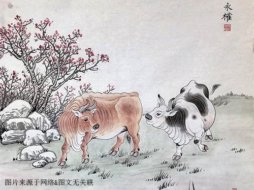 2岁属什么生肖2022，1962属虎男2022