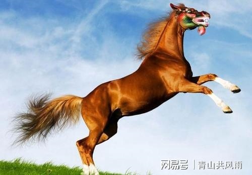 马年跟什么生肖相冲，马和什么属相相冲相克