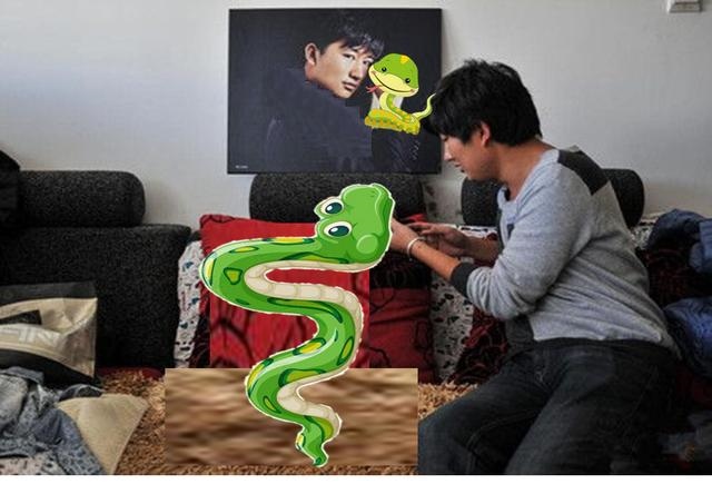 鼠和蛇父子好不好，蛇爸生鼠宝宝好不好