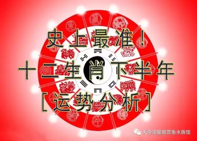 022年下半年最倒霉的生肖，2022年最倒霉的生肖女"