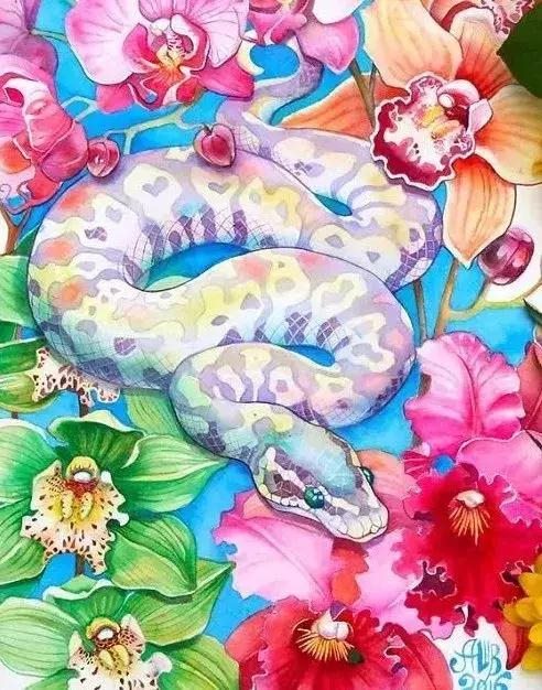 十二生肖的运势和婚姻，十二生肖今年的婚姻如何