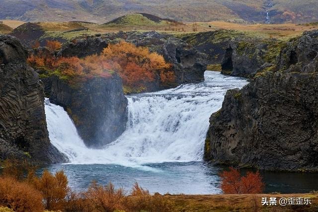 属羊的忌讳什么颜色，一生旺属羊的颜色