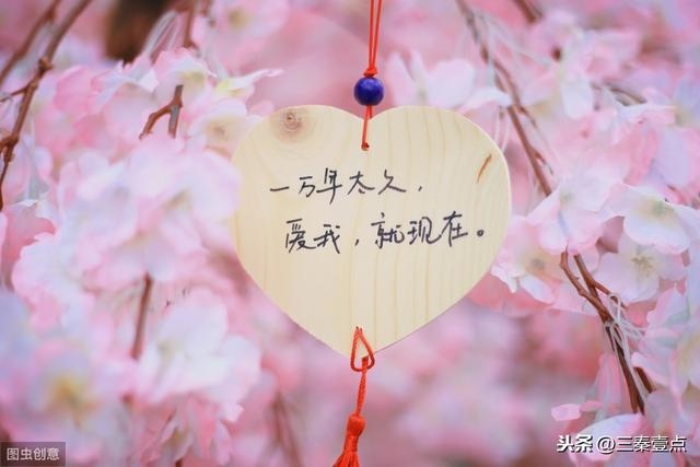 022属狗人全年运势男,生肖狗2022年运势大全"