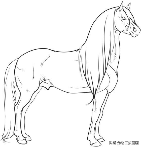 2生肖马图片大全，12生肖牛图片"