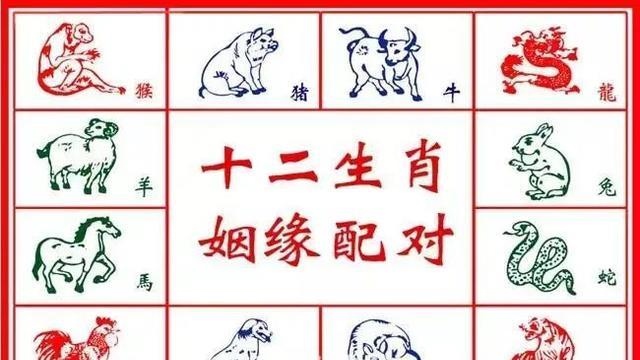 属相婚配猴配什么属相，猴年相配属相更好