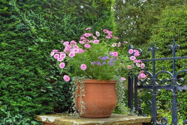 生肖属马的年份表，属相马的年份年龄