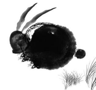 0年属马女必定二婚能娶回家,1990年出生的属马女人"