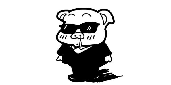 1年生肖猪今年运势,2022