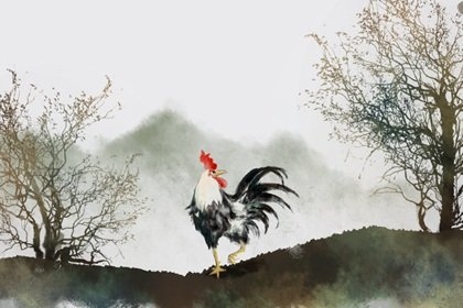 鸡的更佳配对生肖,十二生肖鸡和什么相配