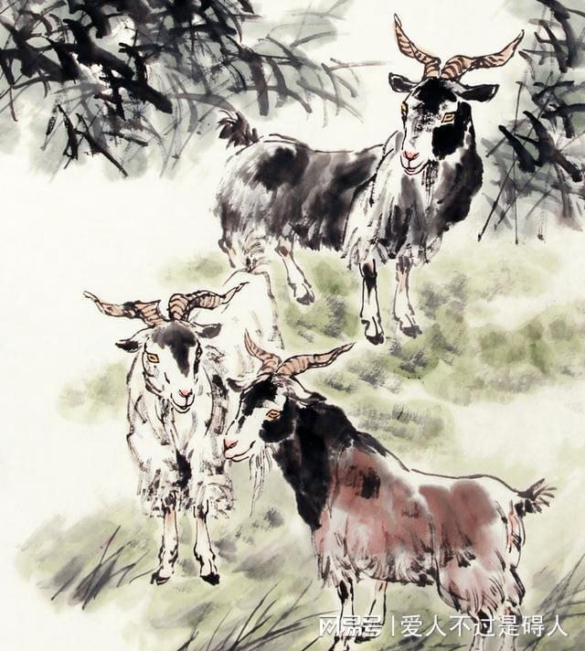 属羊人什么日子出生好,属羊出生在在几份比较好