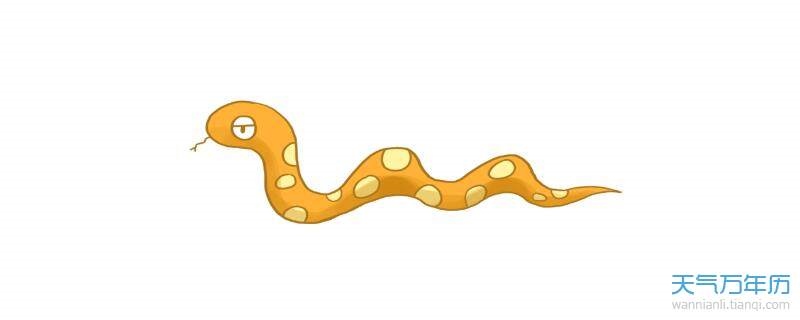 属蛇人2022年全年运势详解,2022年所有属蛇的人都不好吗