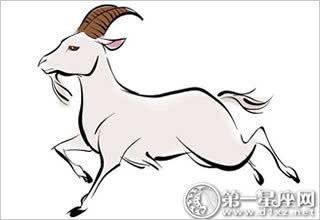 属羊是8几年出生的,00后属羊的是哪一年