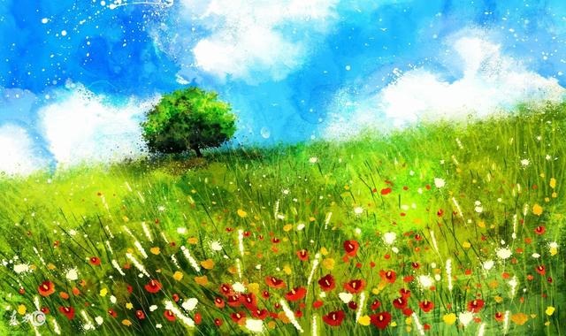 属狗的吉利颜色和数字，2022 年属狗人最吉祥的颜色