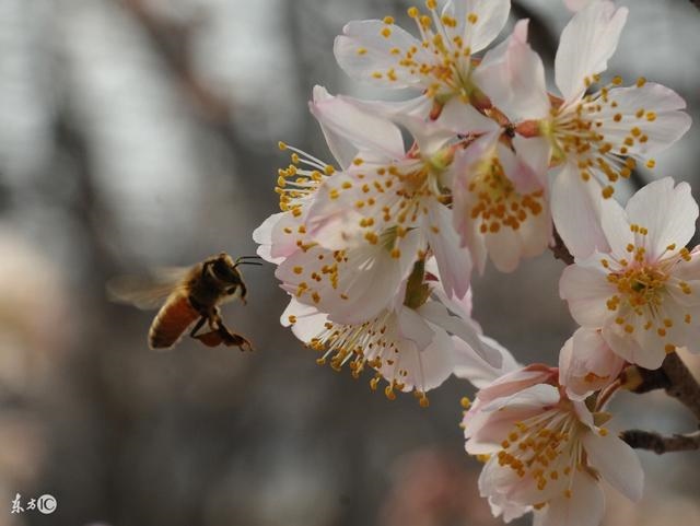 属蛇女2022年的每日财运方向，1989属蛇人更大靠山是谁
