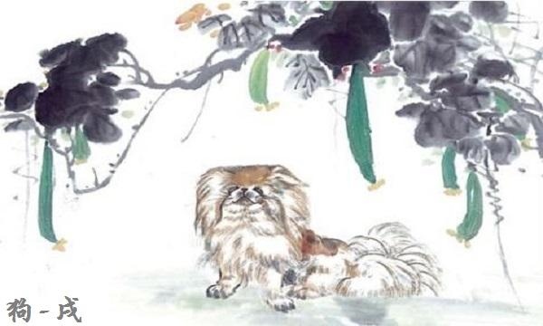 982年狗的运势，狗人2022年运势运程"