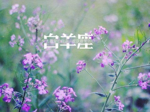 属羊白羊座女孩厉害，属羊白羊座女性格特点