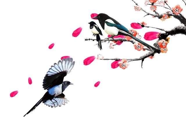 023年十二生肖全年的运势,未来5年运势更好的生肖"