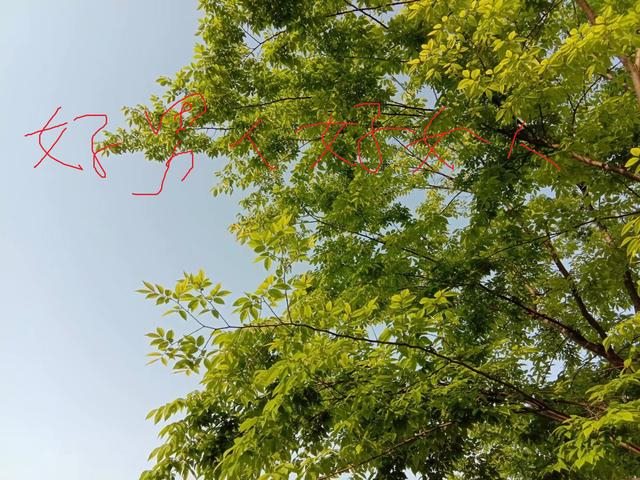 为什么不娶初一女不嫁十五男，男三不娶女三不嫁