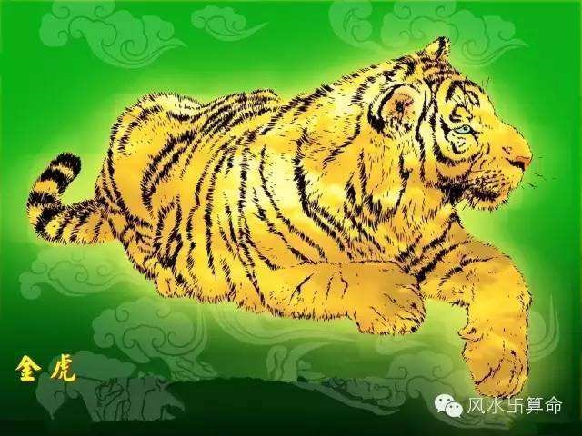 属虎都是哪年出生的,属虎那一年的