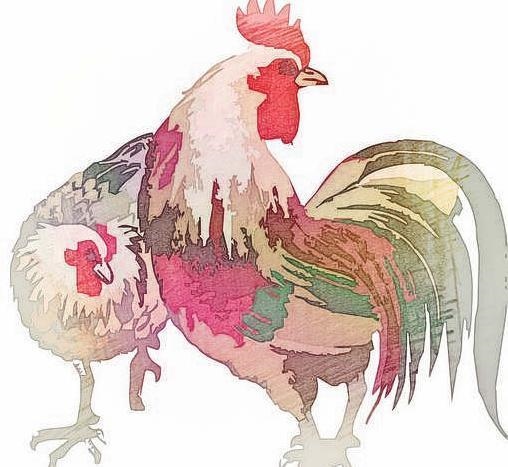 1年属羊性格和脾气,91年属羊女性格"