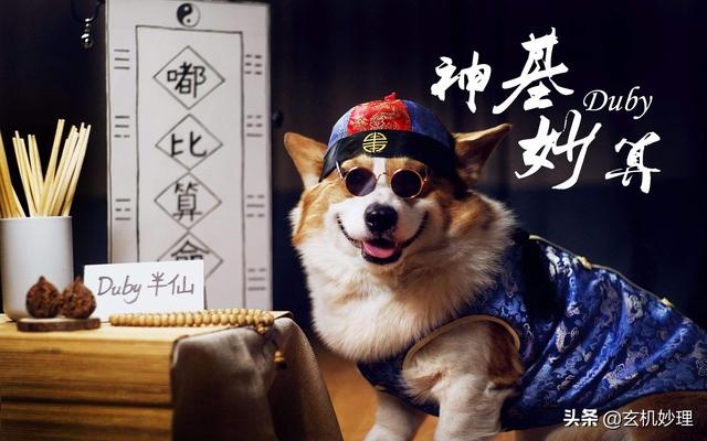 十一月份运势更好生肖，阳历十一月运势