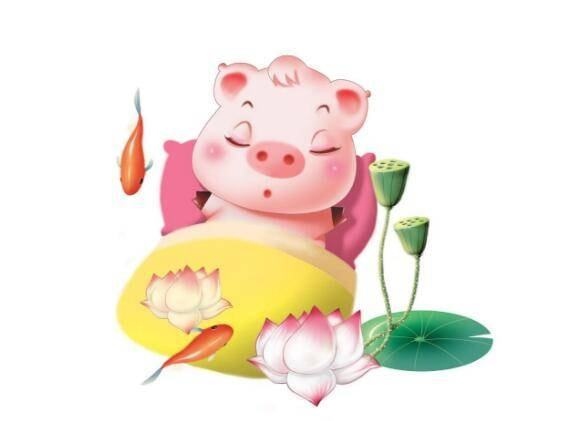 明年运势2022，2022年星座运势