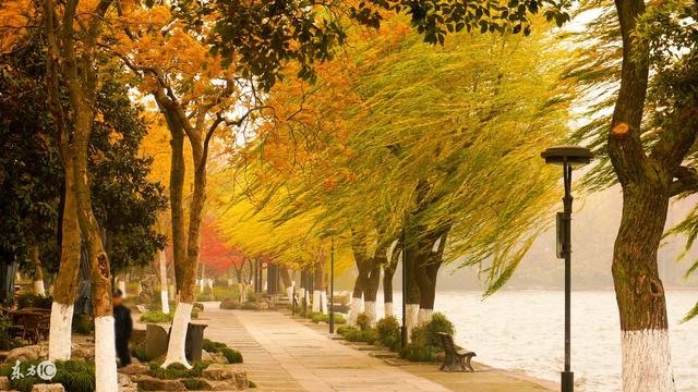 属兔女几月出生命更好，属兔的女宝几时生好