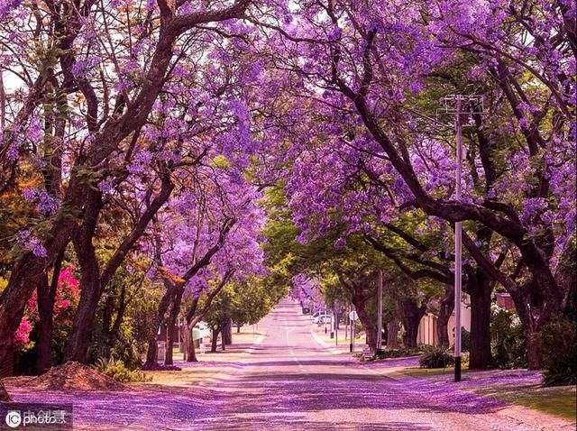 新年运势免费测试，2022 年个人运势查询免费