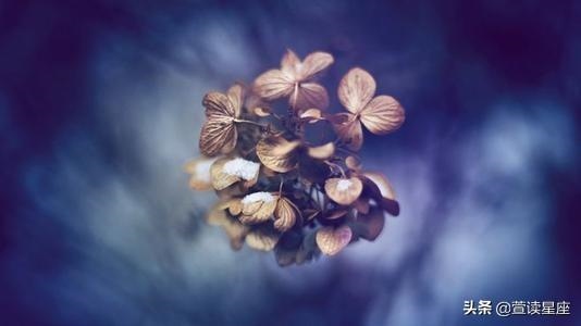 9岁的人今年运气怎么样，属鸡人39岁转运"