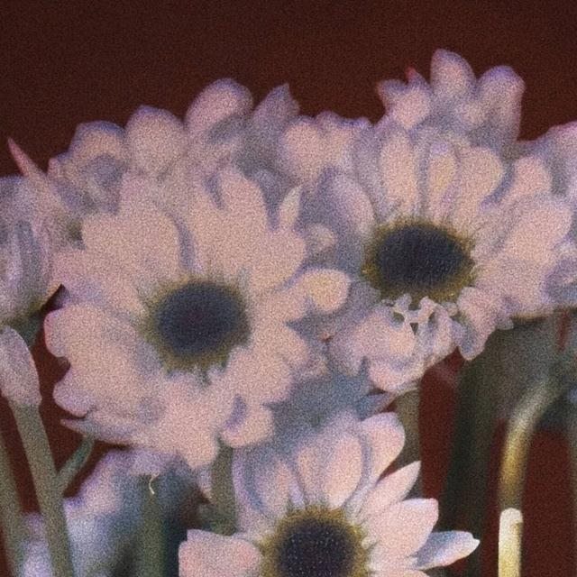 命理怎么看命中注定的另一半，八字看你命中注定的丈夫