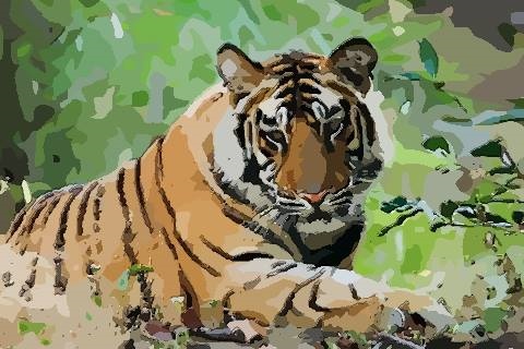 022年属虎的人的全年运势,1986年的虎2022年要孩子好"