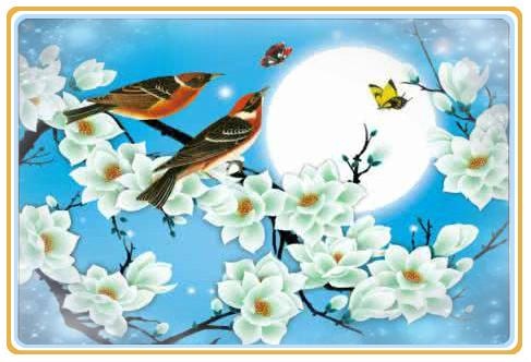 991属羊女什么时候可以结婚,91属羊女2022