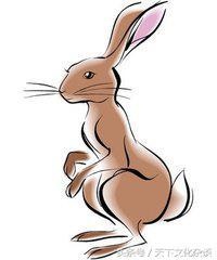 属羊哪个月份出生的男人更好，属鼠几月出生更好