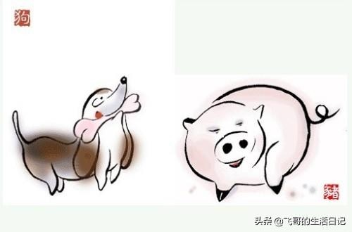 羊在十二生肖中的意义，羊代表什么象征意义