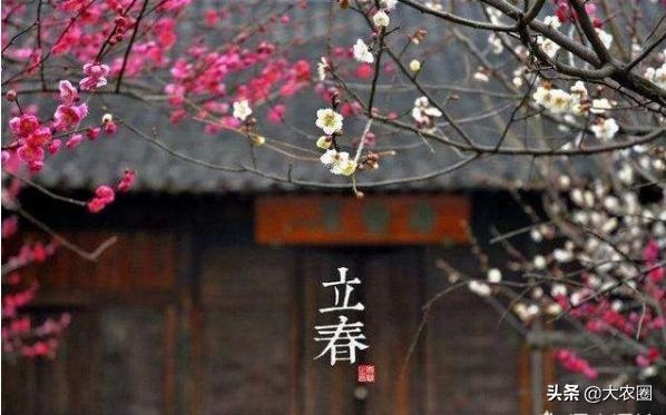 羊年还有多少年,2003年属羊是什么命