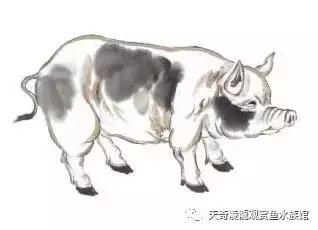 022年下半年最倒霉的生肖，2022年最倒霉的生肖女"