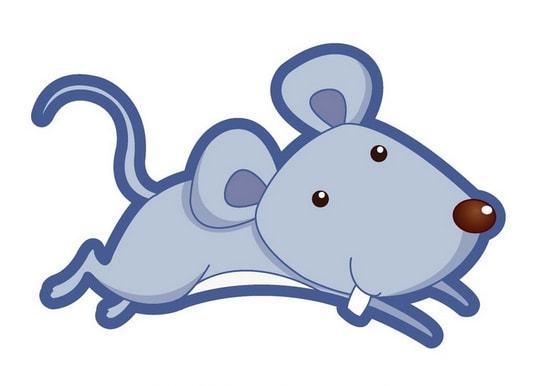 022运势12生肖运势,2022年生肖运势大解析十二生肖"