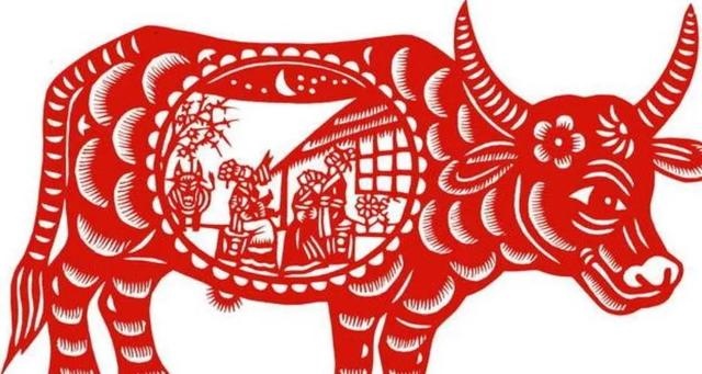 属马人44岁换运后期命运如何，78年属马44岁以后财运