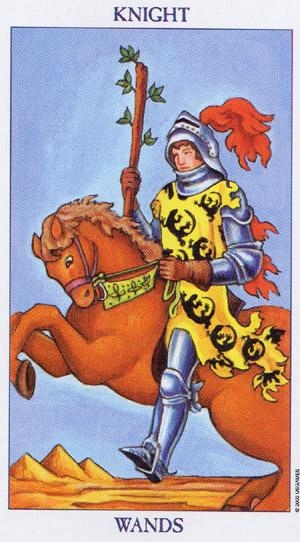 塔罗牌免费测试占卜健康，塔罗与健康有关的牌