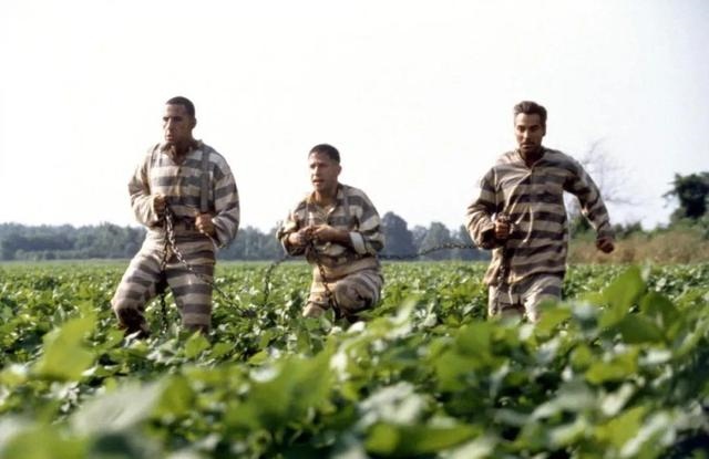 属羊女和属蛇男的婚配好不好，89年蛇男和91年羊女