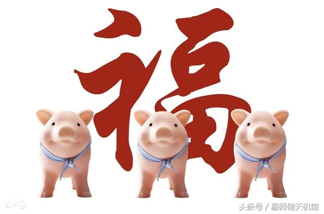 男子属羊好不好，1991年属羊人婚姻注意