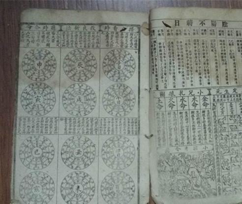 属鸡和属猪八字合不合,属鼠和属兔合不合