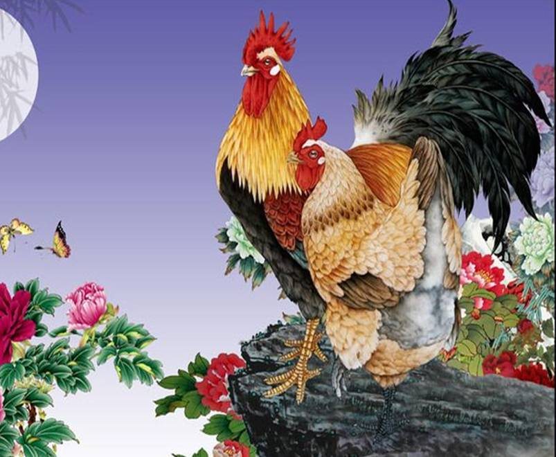 属鸡人2022年的运势，属鸡2022年运势完整版